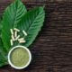 10 Things Nurses Should Know About Kratom