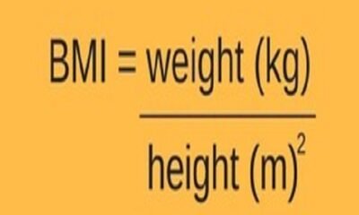 Body Mass Index and Body Surface Area: What's the Difference?