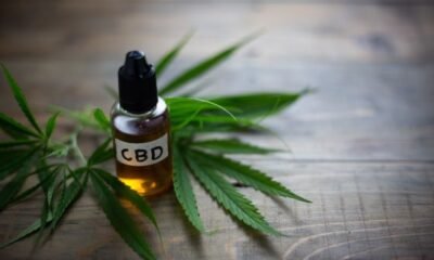 CBD vs. cannabis/THC – what's the difference?