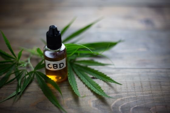 CBD vs. cannabis/THC – what's the difference?