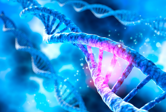 Alkylating agents: how do they work?