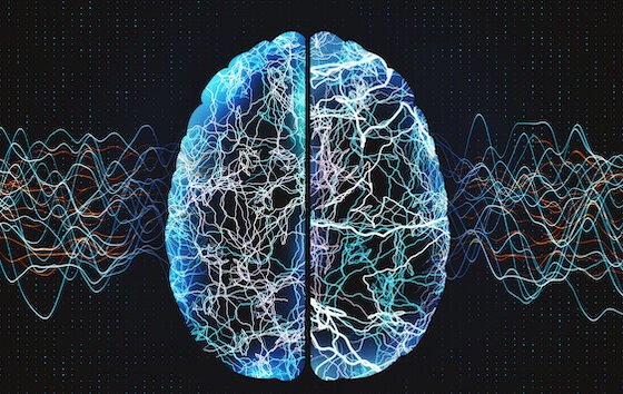 Tests for higher cognitive functions