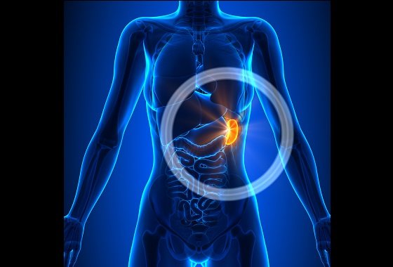 2 ways to assess the spleen