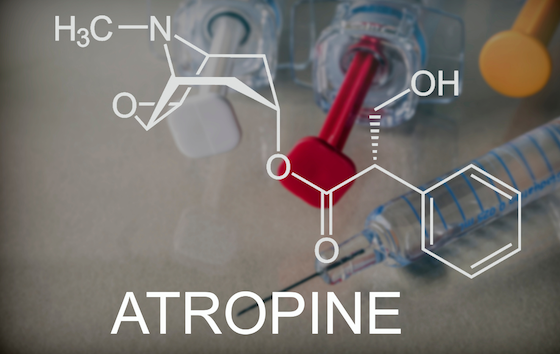 Atropine sulfate: how does it work?