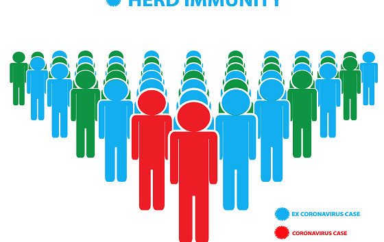 Can we count on herd immunity to stop Covid-19?