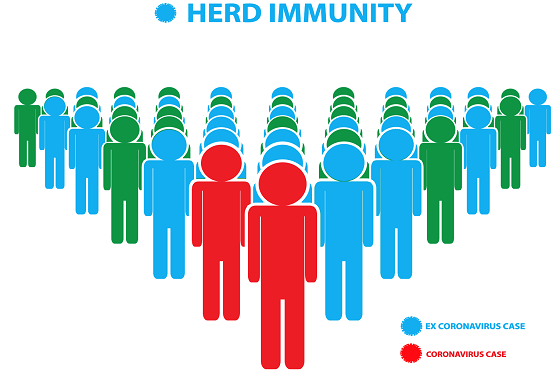 Can we count on herd immunity to stop Covid-19?