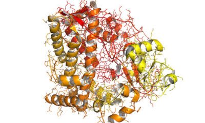 Cytochrome enzymes and drug interactions