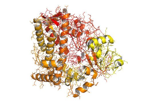 Cytochrome enzymes and drug interactions