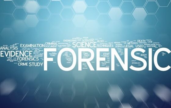 Forensic nursing