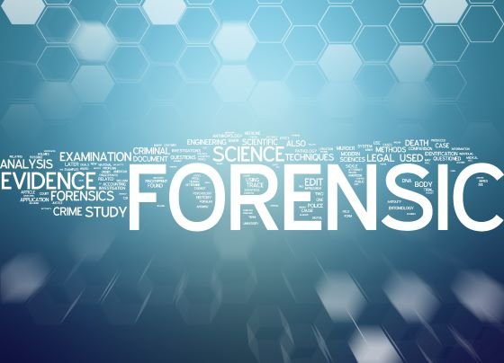 Forensic nursing