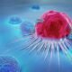 How are cancer cells different from normal cells?