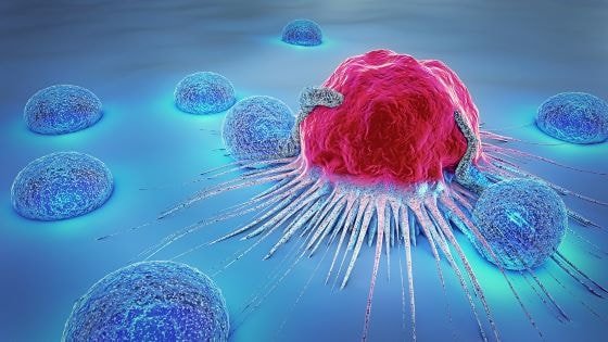 How are cancer cells different from normal cells?