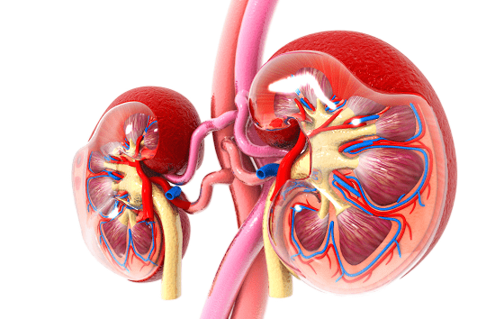 How helpful is fractional sodium excretion?