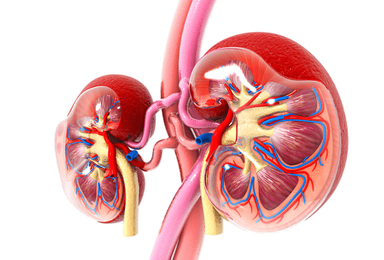 How helpful is fractional sodium excretion?