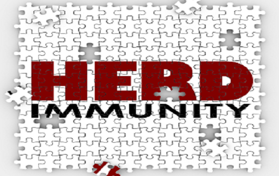 What is herd immunity?